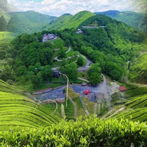 Meet your Posher, Kumar - Picture 1 of 1